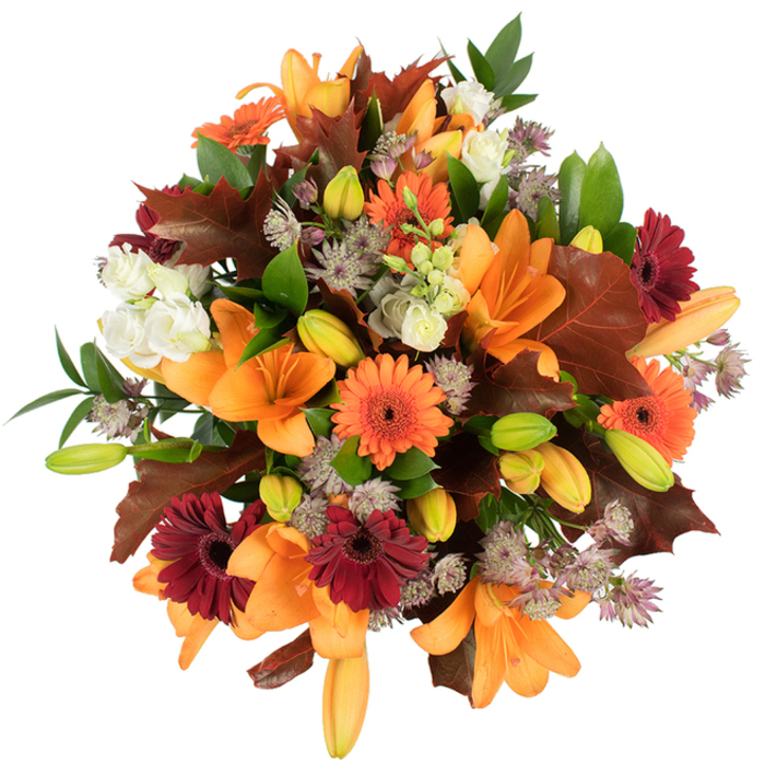 Seen from a slightly elevated viewpoint on a white field, this lush autumn bouquet is a study in complementary contrasts and seasonal storytelling-an offering we might prepare at Florist Enfield Wash for local customers who want the countryside's late-summer glow brought indoors. At the heart are several expansive orange Asiatic lilies, their trumpet forms polished and open, surrounded by many compact lily buds in shades of green and pale orange that suggest a slow, pleasing reveal. The color story is carried by vivid orange Gerbera daisies and deep burgundy-red Gerberas that provide both cheer and a dramatic anchor. Interspersed among these are creamy white lisianthus blooms with their soft, ruffled edges, and clusters of muted purple Astrantia whose spidery heads add a refined, architectural texture. Large, deeply lobed leaves in warm reddish-brown-reminiscent of fallen oak foliage from the Lea Valley-are layered through the bouquet to reinforce an autumnal mood, while fresh green leaves and slim stems supply movement and structural balance. The arrangement is tightly assembled to create a rounded, abundant silhouette that sits confidently in any dining room or foyer, perfect for giving thanks or marking a harvest occasion. The lighting is bright and even, accentuating the saturation of oranges, reds, and greens and highlighting subtle surface textures. As a local florist I imagine this piece placed on a dining table near Hertford Road or delivered to a neighbour in Enfield Lock, bringing the fragrant, woodsy scent of late-season blooms into a welcoming home.