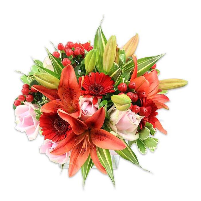 Set against a clean white field, this luxuriant hand-tied arrangement reads as a study in warm, saturated colour and refined texture. The most arresting elements are the large, fiery orange-red lilies - their recurved petals freckled with darker spots and held aloft by visible stamens - which act as the bouquet's dramatic centrepiece. Nestled among and softening the lilies are several vivid red Gerbera daisies, their layered, radiating petals forming cheerful disks that contrast beautifully with the lilies' sculptural curves. Interspersed throughout the mass are delicate blush roses, ranging from small, smooth buds to more open, velvety blossoms that bring an intimate, gentle note. Bright red hypericum berry clusters are tucked into the design like small, glossy ornaments, adding round texture and lively highlights against the smoother petal surfaces. A variety of foliage - broad green leaves, slender lily blades, and some variegated greenery with pale streaking - provides a verdant frame that enhances depth and keeps the arrangement feeling natural and abundant. A few unopened lily buds at the edges promise a second wave of bloom, and the full, rounded silhouette speaks to considered placement and skilled hand-tying. The visual richness is matched by an implied soft fragrance - sweet rose notes warmed by a faint spicy lily undertone - making this bouquet an ideal choice for anniversaries, celebratory tables, or as a thoughtful delivery to neighbours around Enfield Wash, Ponders End and the Lock area to mark a special day.