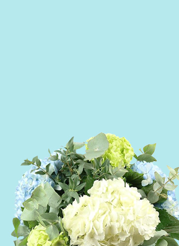 Same day Flowers Enfield Wash